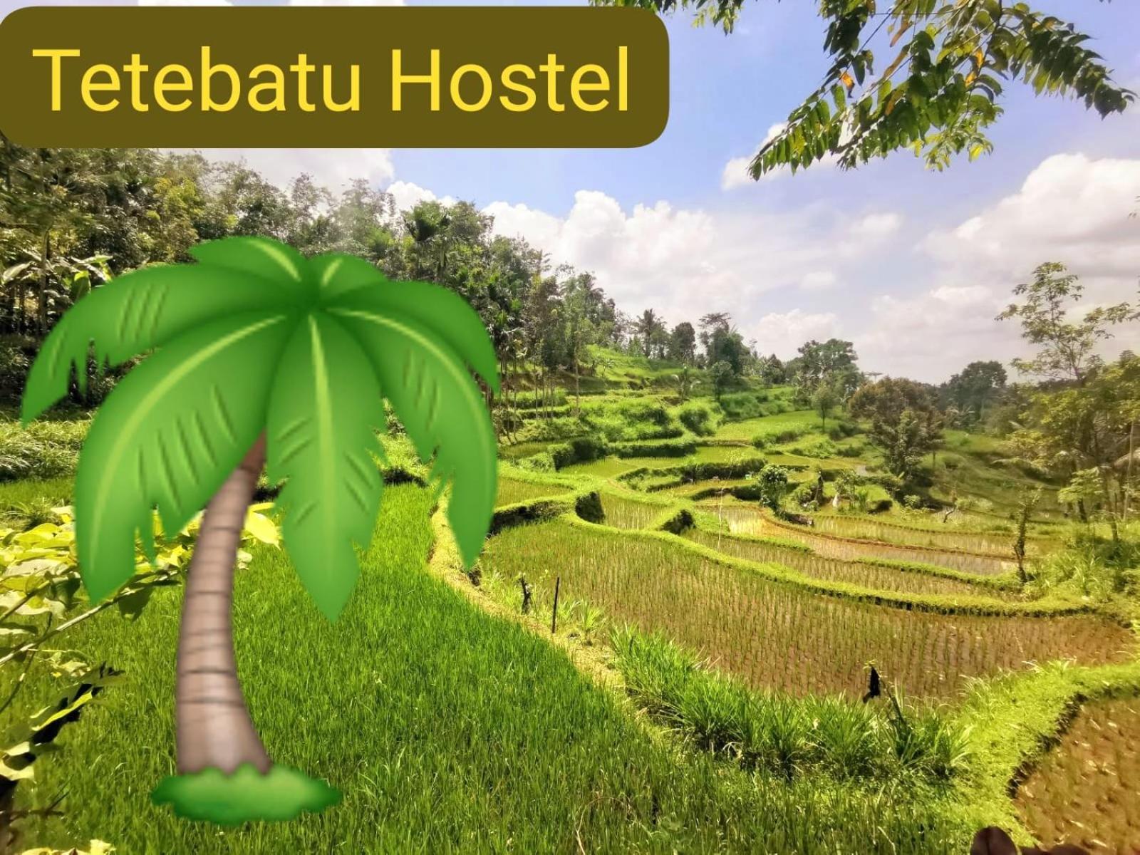Tetebatu Hostel 외부 사진