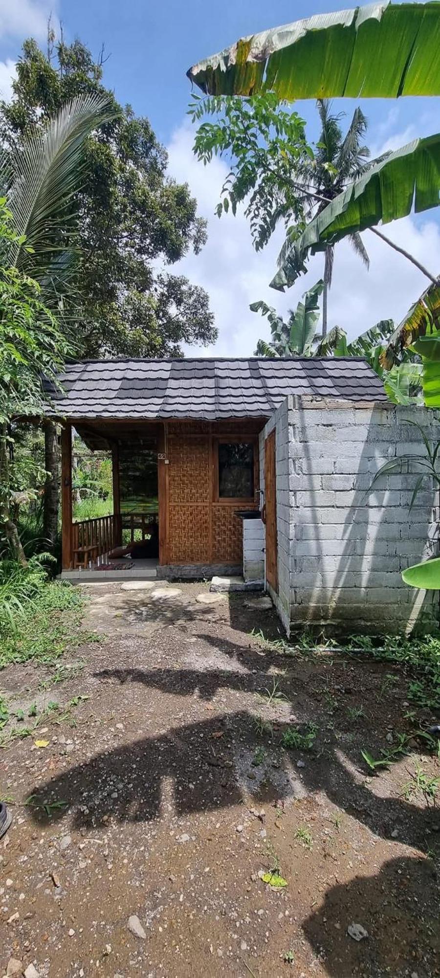 Tetebatu Hostel 객실 사진